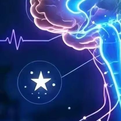 Vagus Nerve Stimulator TENS Un - Tens Pain Relief Unit ulasan dan harga