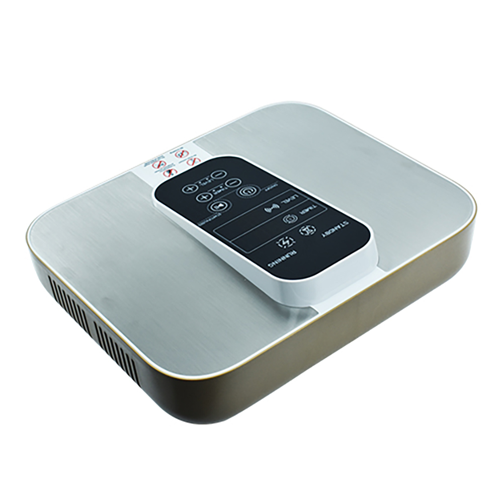 Terahertz PEMF Foot Massager B - Health Wellness Energy ulasan dan harga